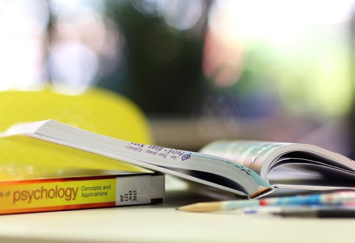 Designing the PolyU Library Website